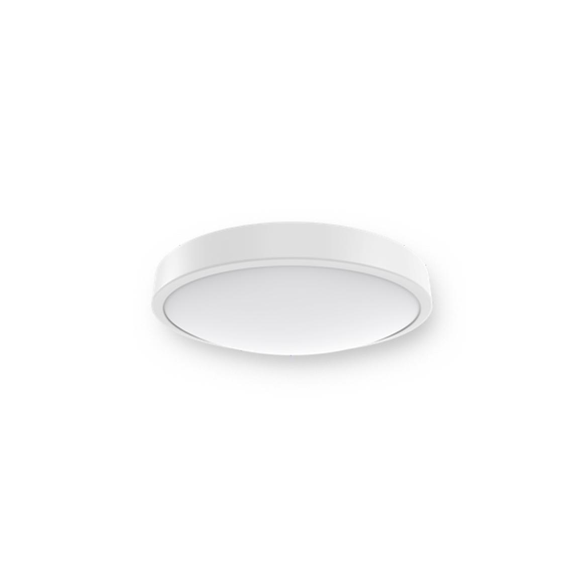 Ceiling  Light_C4b_Dip switch